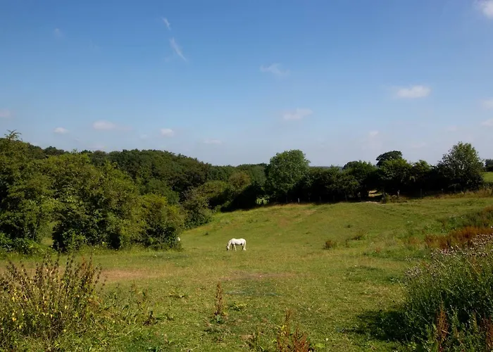Le Pre Du Poney